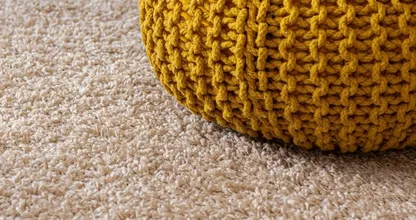 Here’s how to prevent and eliminate pests in your carpet or rug