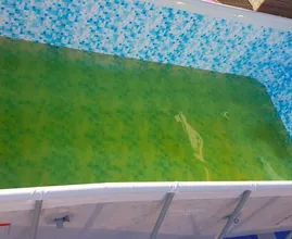 Make green pool water clear again with these three simple steps
