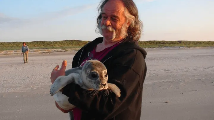 Verschrikkelijk: kop van levend zeehondje eraf gesneden.. Wie heeft iets gehoord of gezien? Waarschuwing: schokkende foto's!