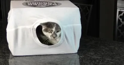 Don't throw away cardboard boxes; use them for these handy purposes