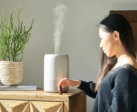 Avez-vous vraiment besoin d'un humidificateur dans votre maison ?