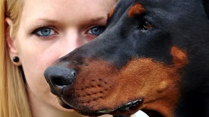 Dein Sternzeichen verrät dir, welches Haustier am besten zu dir passt