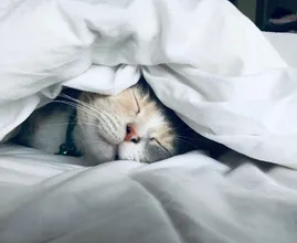 This is the secret to a good night's sleep