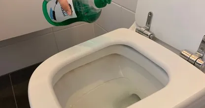 ¡Este es el motivo más espectacular por el que debes poner jabón de lavaplatos en el retrete!