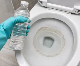 Why Are People Putting Vinegar in Their Toilet Bowls? – Read on to Find Out...