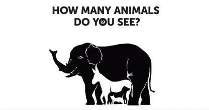 ¿Cuántos animales logras descubrir? Casi nadie llega al número correcto.