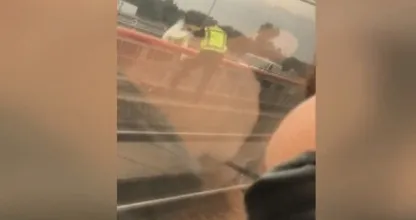 HEFTIG: NS personeel verlost zwaargewonde zwaan op deze manier uit zijn lijden, wat vind jij hiervan?
