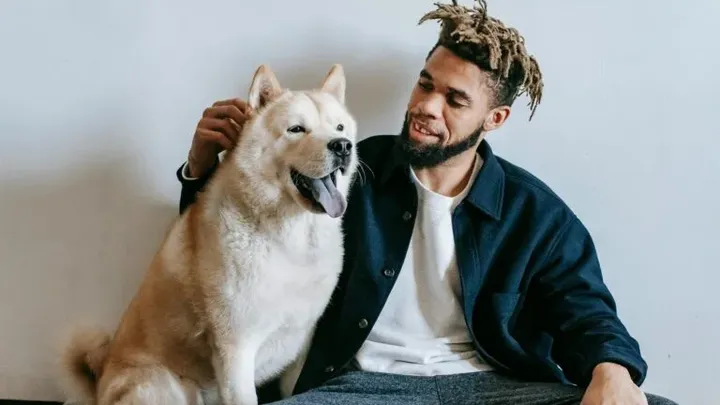 15 raças de cães que não podem ser mantidas como animais de estimação