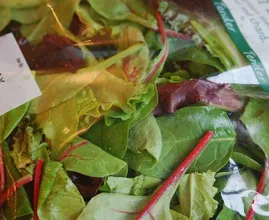 Kaufst du manchmal Salat aus der Tüte im Supermarkt? Lies dir das mal durch...