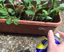 ¿Ya conoces este aerosol azul? Se llama WD-40. ¡Es nada menos que un milagro envasado en una lata!