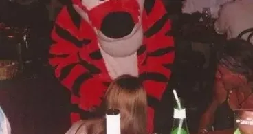 Können Sie glauben, was Sie da sehen? 45 atemberaubende Fotos aus Disneyland, die der Realität trotzen!