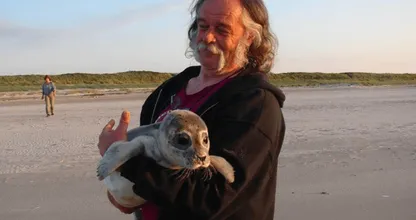 Verschrikkelijk: kop van levend zeehondje eraf gesneden.. Wie heeft iets gehoord of gezien? Waarschuwing: schokkende foto's!