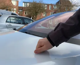This is why you should knock on the hood of your car before you leave when it's cold out!
