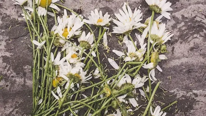 Wife Uncovers Husband's 50-Year Secret Hidden Beneath Painting Varnish - Unbelievable!