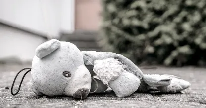 Man uit Bunschoten verdachte seksueel misbruiken zeven kinderen