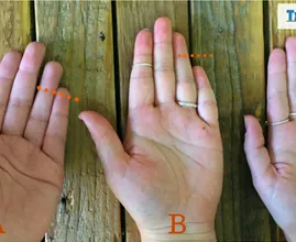 Wie lang ist dein kleiner Finger? Das sagt es über deine Persönlichkeit aus.