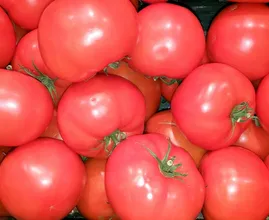Kann man Tomaten eigentlich einfrieren? So geht es am besten!