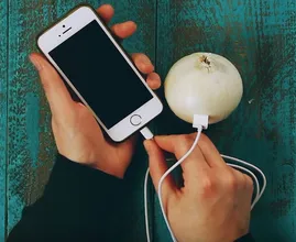 Mit einer Zwiebel das Handy aufladen - es funktioniert wirklich. So geht's!