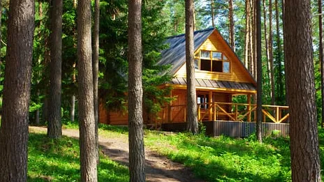 Bear Waves To Family Every Morning - One Day Dad Follows Him And Makes A Strange Discovery