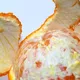 Sobrou alguma casca de laranja? Não jogue fora porque é isso que você pode fazer com ela!