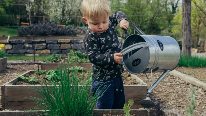 Study shows that gardening could reduce the risk of cancer