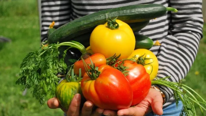 Schlechte Nachrichten: Gemüse und Obst wird sehr viel teurer