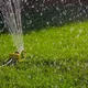 This tip can help you keep your lawn green all throughout the year
