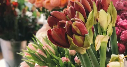 Tips om je bloemen langer vers te houden