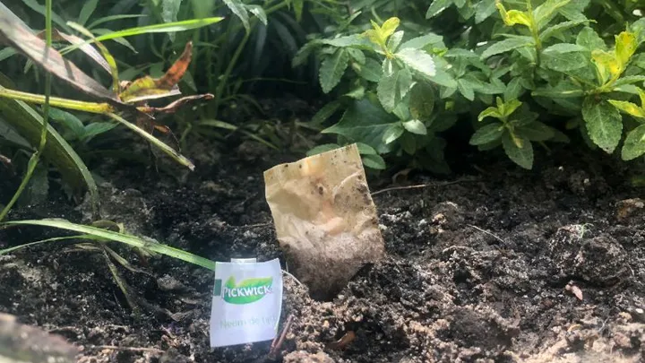 Deze 21 tuinhacks besparen je veel tijd en geld