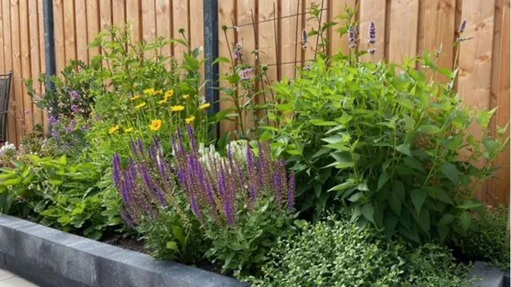 Je tuin inrichten? Dat hoeft niet moeilijk te zijn!