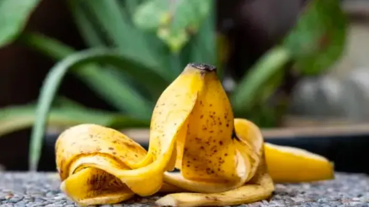 Einfache Frühlings-Hacks für den Garten Ihrer Träume. Praktisch umsonst!
