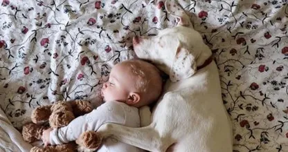 This abused dog is scared of everyone except his baby best friend... This is too cute!
