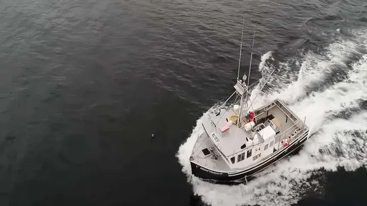 Ci pracownicy znaleźli gigantycznego węża - nie uwierzysz, co znaleźli w środku!