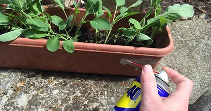 Have you ever seen this blue spray can called WD-40? This stuff is made of miracles!