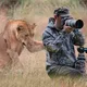 Leão pede ajuda a fotógrafo - A inacreditável verdade revelada