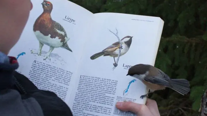 Tenetevi stretti le risate - 40 momenti divertenti con animali adorabili