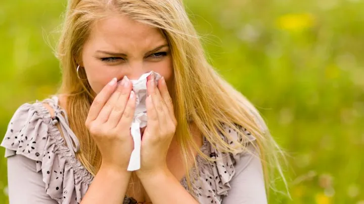Hooikoortspatiënten opgelet: deze week erg veel pollen in de lucht