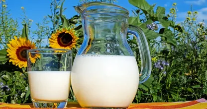 Was ist eigentlich gesünder: Sojamilch oder Kuhmilch?