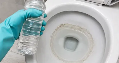 Por que as pessoas estão colocando vinagre nos vasos sanitários? - Continue lendo para descobrir...