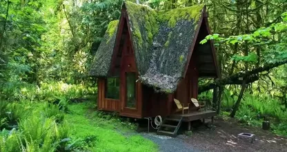 Ein echter Hingucker: Dieses zauberhafte Haus mitten im Wald ist größer, als es scheint