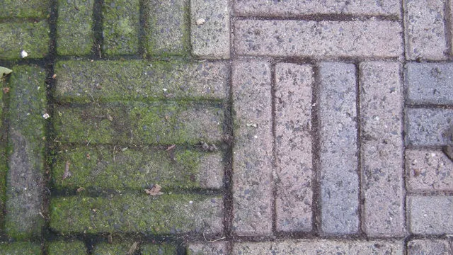 Retirer les taches vertes sur les carreaux de votre terrasse ? Avec cette astuce, c’est très simple ! Vous devez vraiment essayer ça !