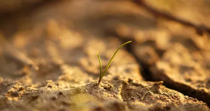 Watertekort vanwege droogte: crisisteam maakt verdeelplan