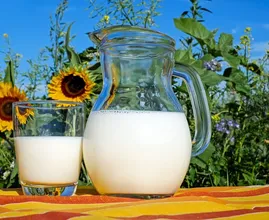 Was ist eigentlich gesünder: Sojamilch oder Kuhmilch?