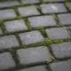 With these tricks you can easily get rid of moss