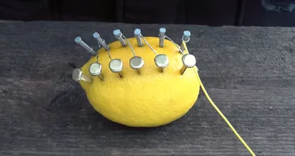 Clouez quelques clous dans un citron et regardez ce qu’il se passe ensuite !