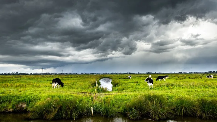 Dit is de weersverwachting voor de komende dagen