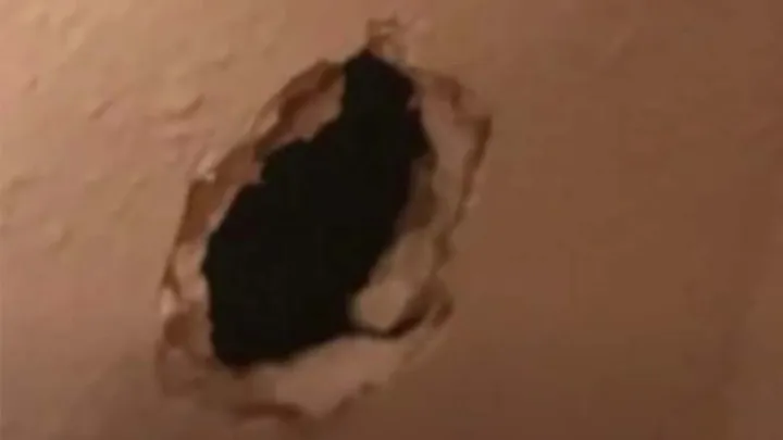 Hombre instala cámara después de que un perro mirara un lugar en la pared durante días
