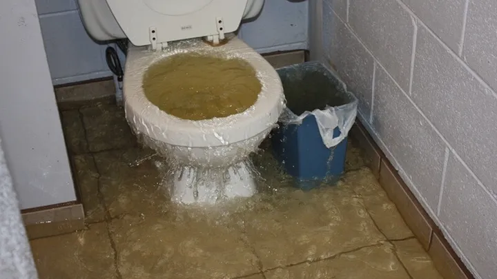 Verstopt toilet? Geen nood, met deze tip heb je hem zo ontstopt!