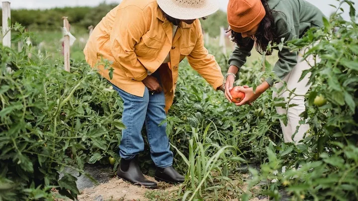 Deze 21 tuinhacks besparen je veel tijd en geld