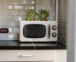 6 types d’aliments que vous ne devriez pas réchauffer au micro-ondes